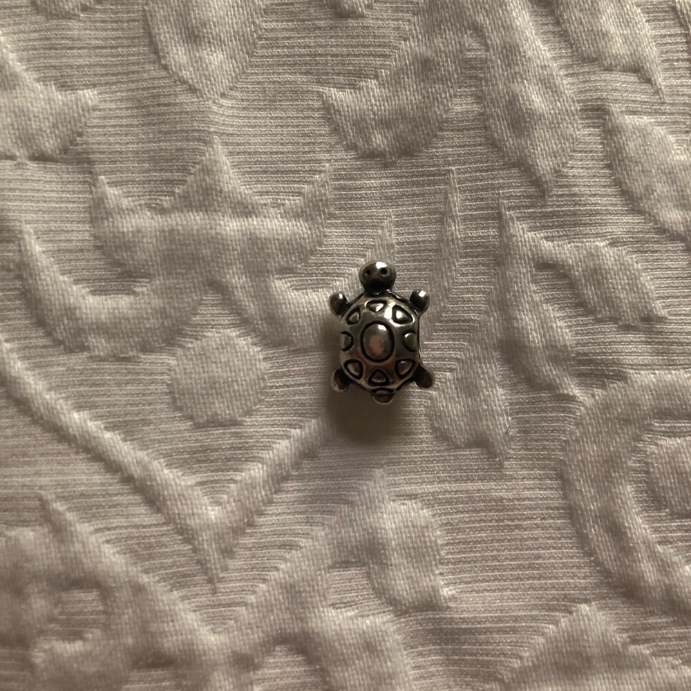 Turtle pandora charm